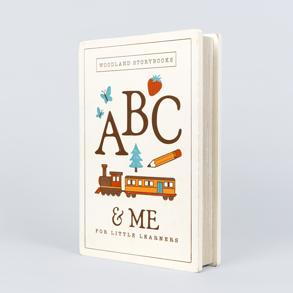 ABC's & ME Woodland Storybook Learn Gift Set s/40
