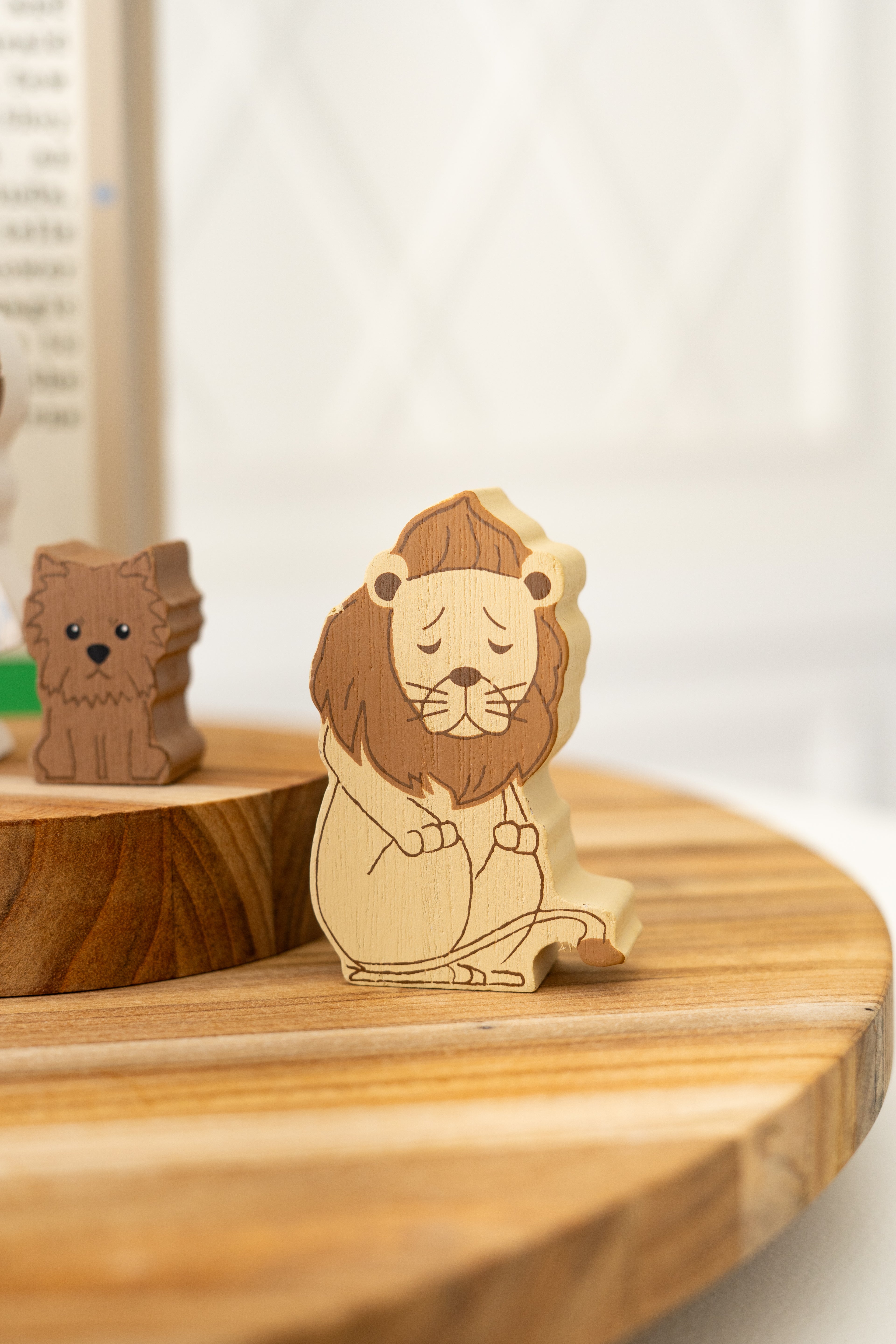 Wizard Of Oz Woodland Storybook Gift Set s/9