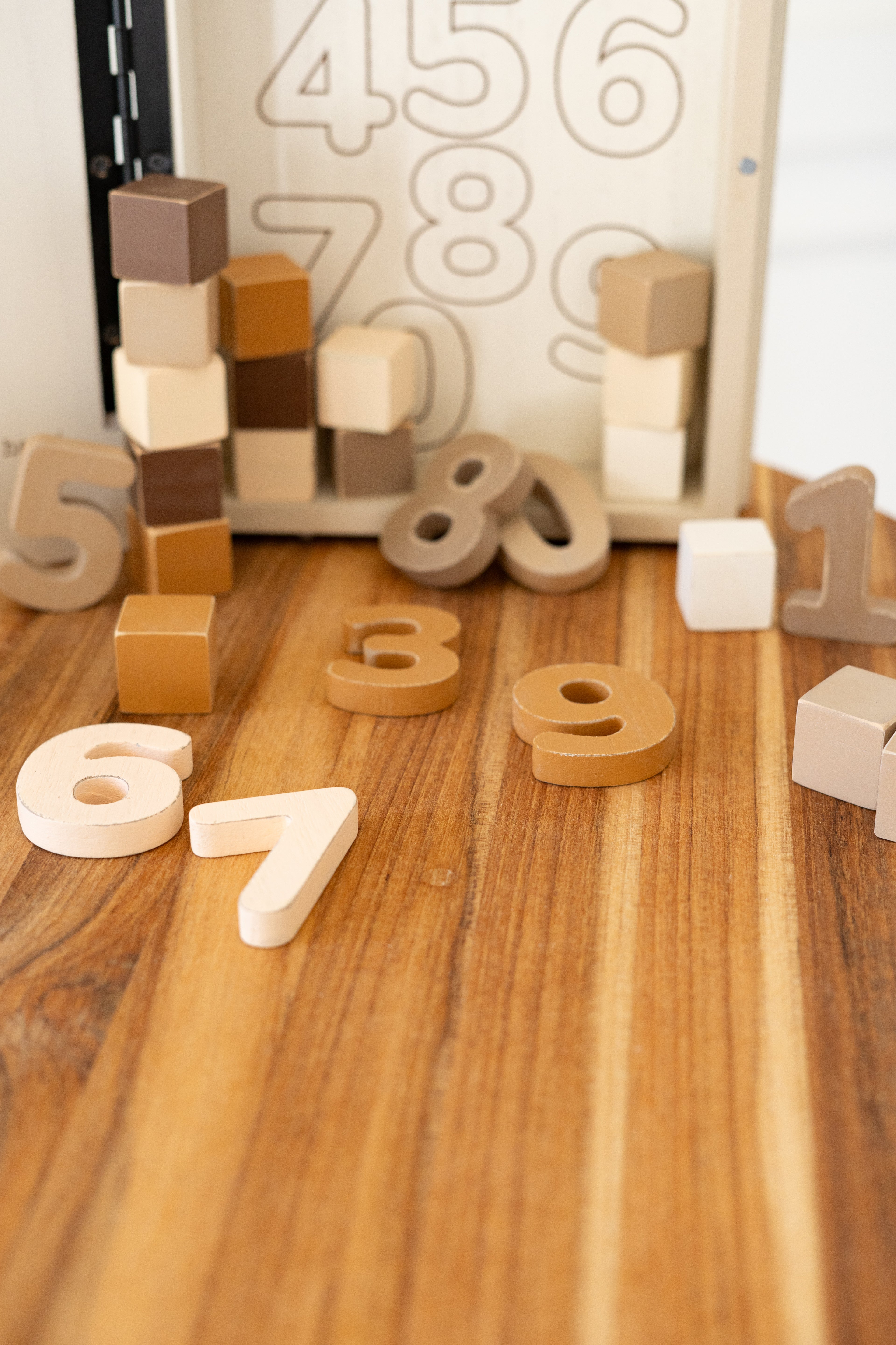 123's & Me Woodland Storybook Gift Set s/35